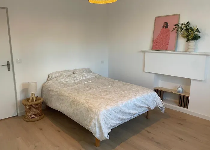 Appartement Soustons Centre Ville
